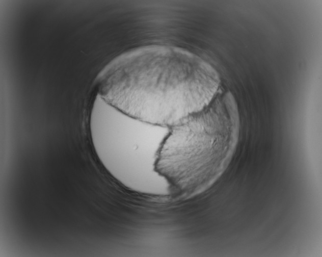 X0000088470757200706191348