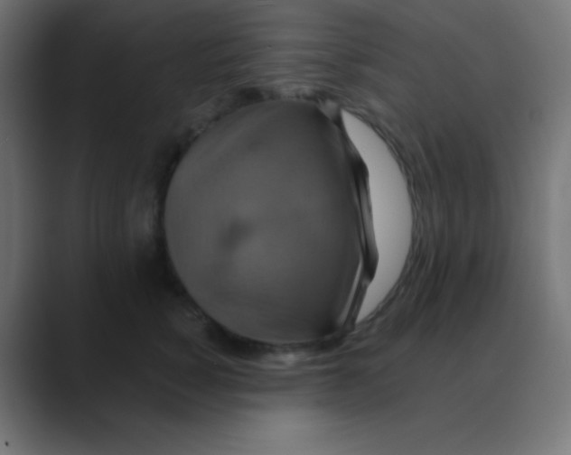 X0000088470760200706191348