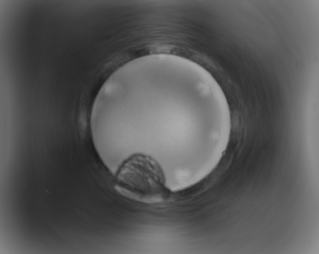 X0000088470761200706191348