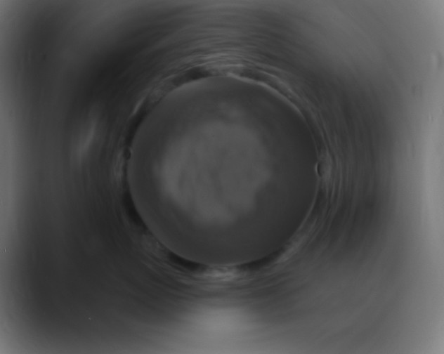 X0000088470767200706191348