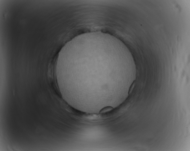 X0000088470768200706191348