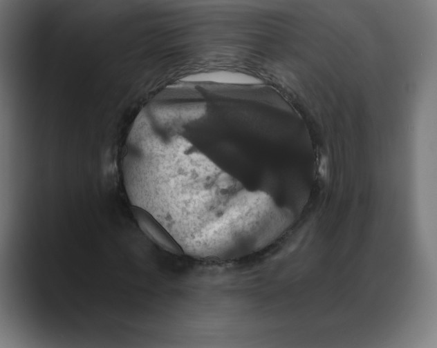 X0000088470771200706191347