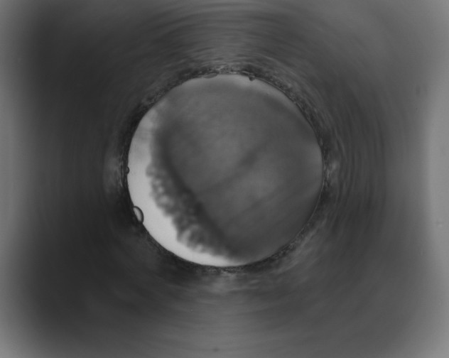 X0000088470772200706191347