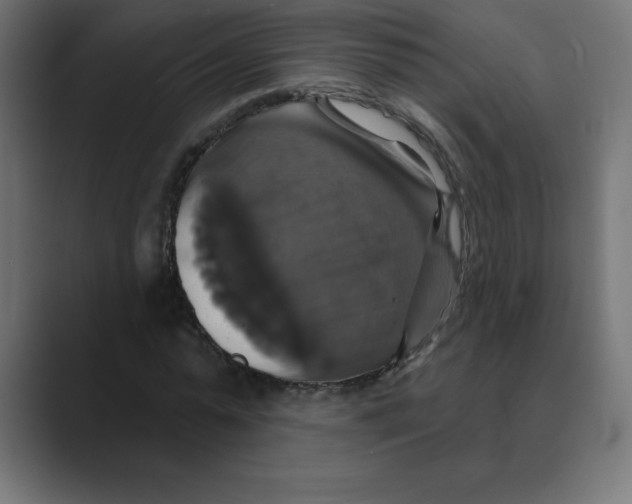 X0000088470775200706191347