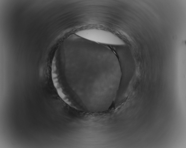 X0000088470776200706191347