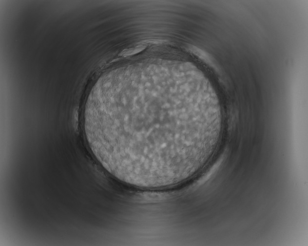 X0000088470777200706191347