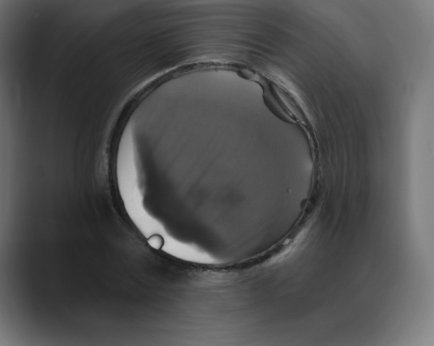 X0000088470779200706191347