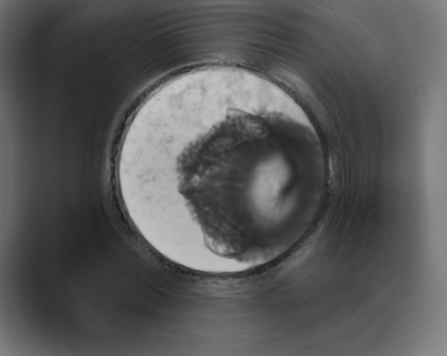 X0000088470780200706191347