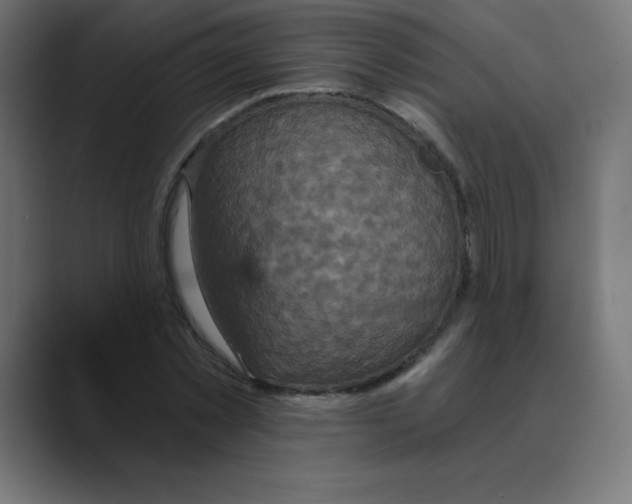 X0000088470781200706191347