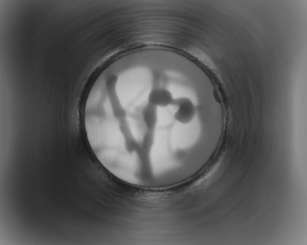 X0000088470782200706191347