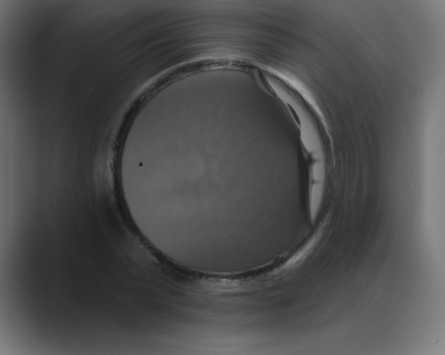 X0000088470783200706191347