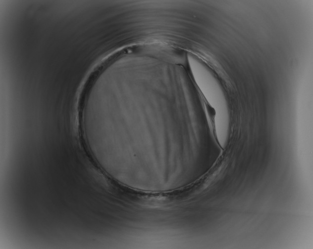 X0000088470784200706191347