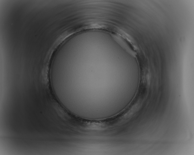 X0000088470786200706191347