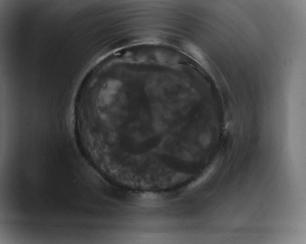 X0000088470787200706191347