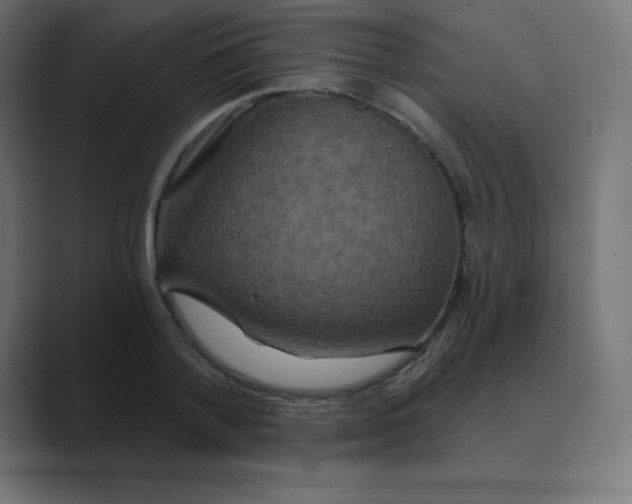 X0000088470788200706191347