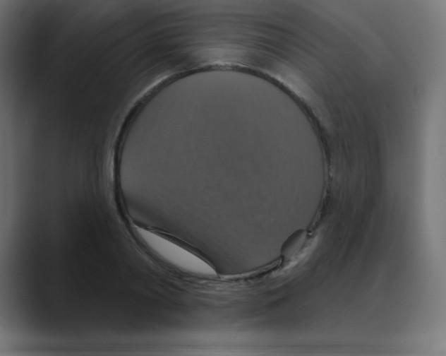 X0000088470790200706191347