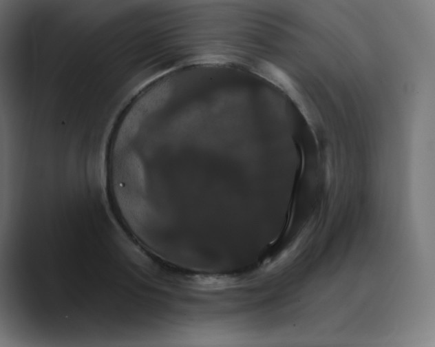 X0000088470795200706191347