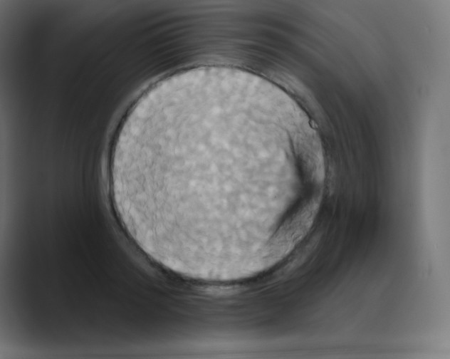 X0000088470796200706191347