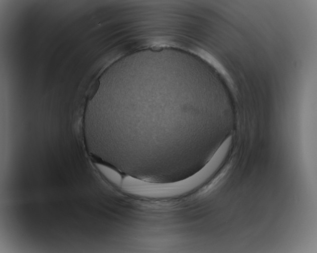 X0000088470801200706191347