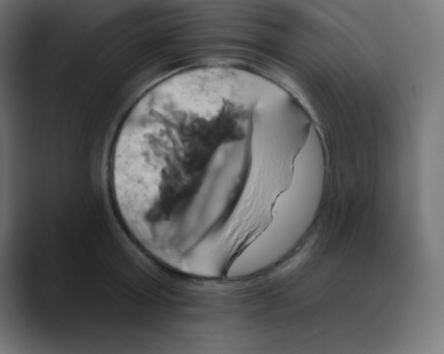 X0000088470803200706191347