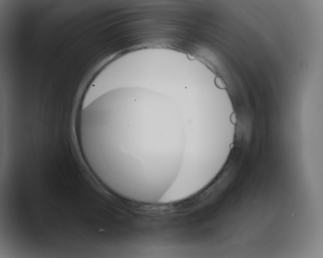 X0000088470804200706191347