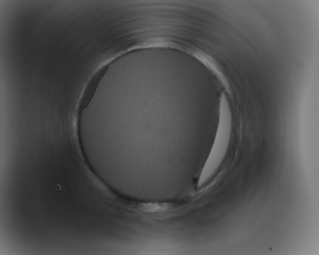 X0000088470805200706191347