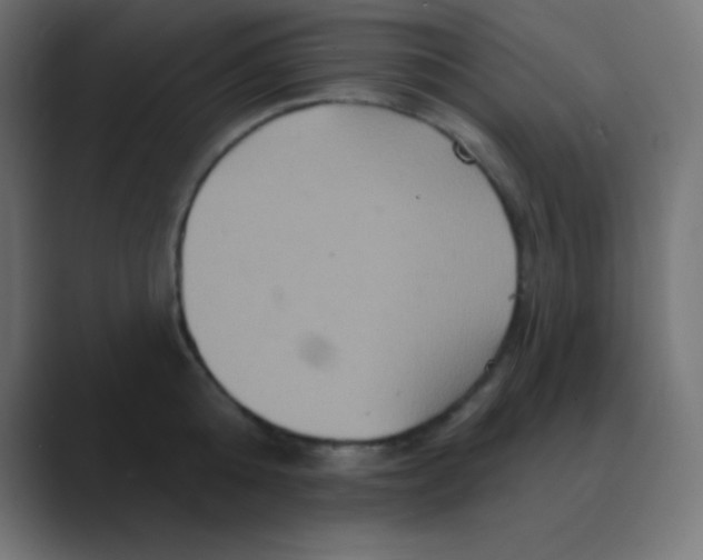 X0000088470808200706191347