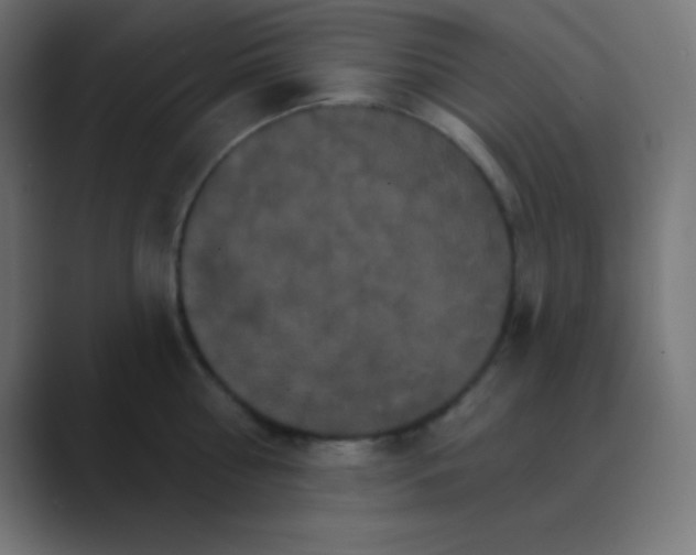 X0000088470810200706191347