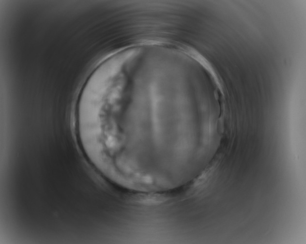 X0000088470811200706191347