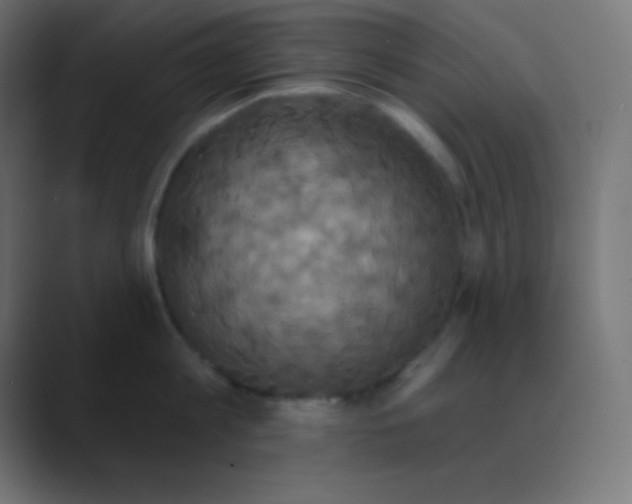 X0000088470813200706191347