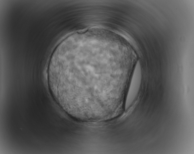 X0000088470814200706191347