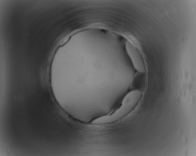 X0000088470816200706191347