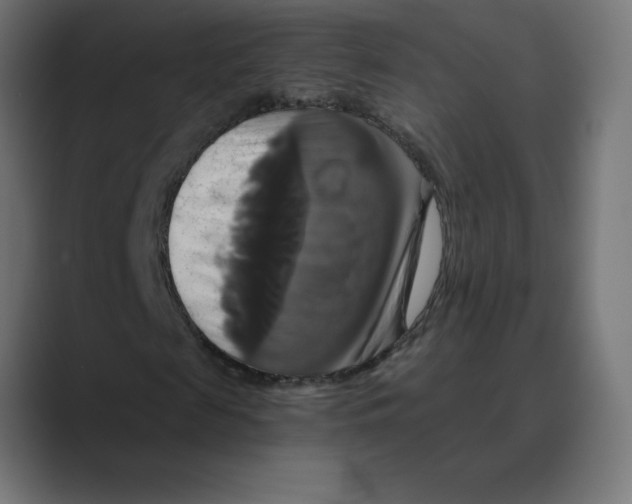 X0000088470817200706191346