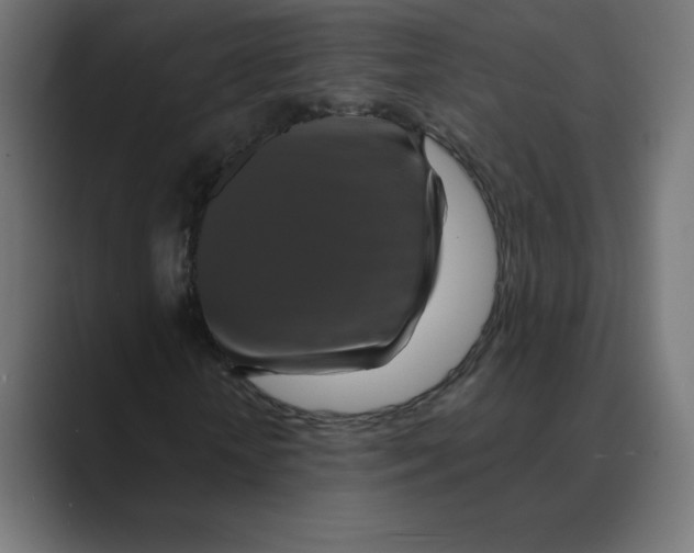 X0000088470818200706191346