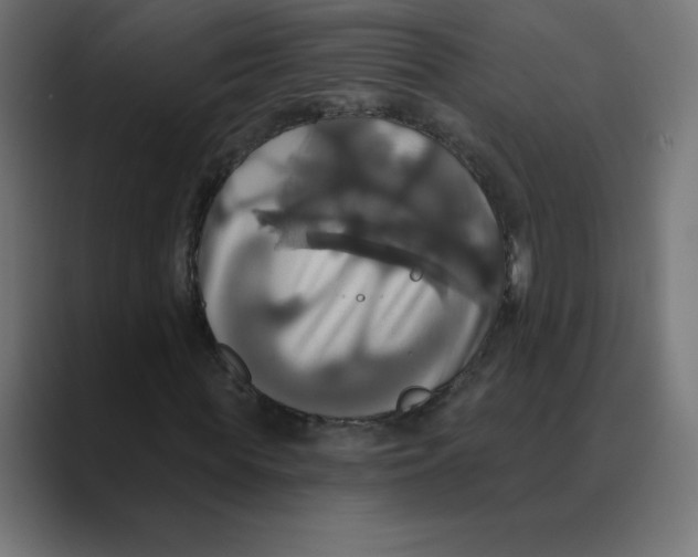 X0000088470819200706191346