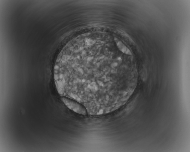 X0000088470821200706191346