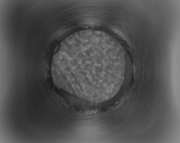 X0000088470822200706191346