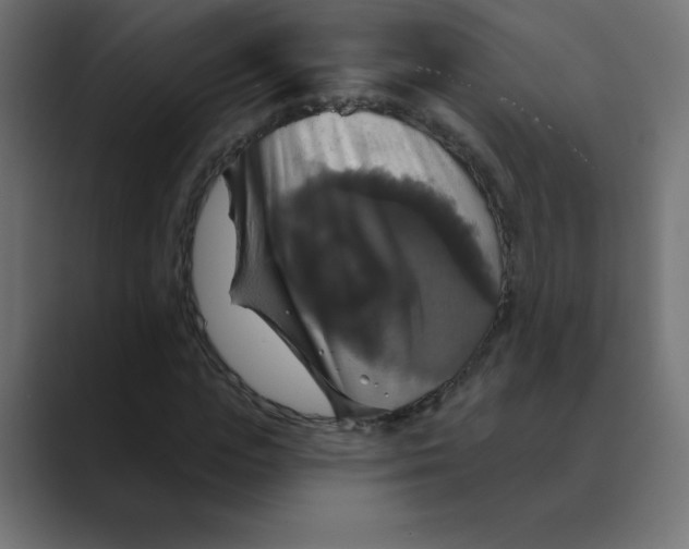 X0000088470823200706191346