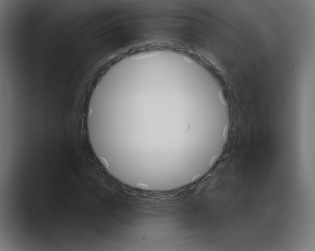 X0000088470824200706191346