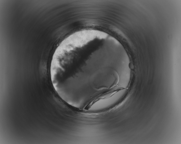 X0000088470825200706191346