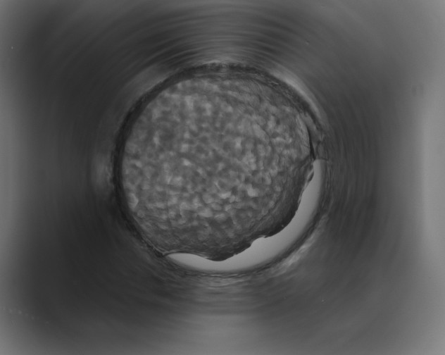 X0000088470826200706191346