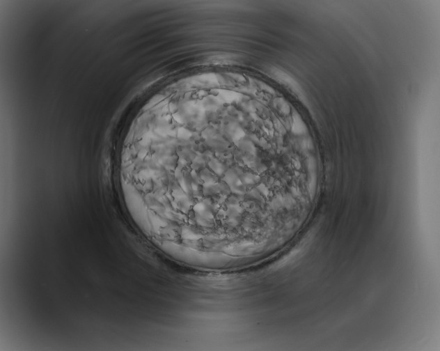 X0000088470827200706191346