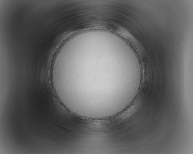 X0000088470828200706191346