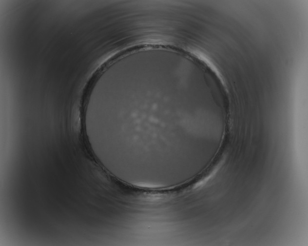 X0000088470829200706191346