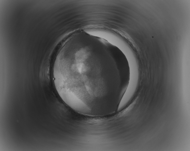 X0000088470830200706191346