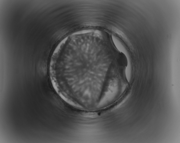 X0000088470833200706191346