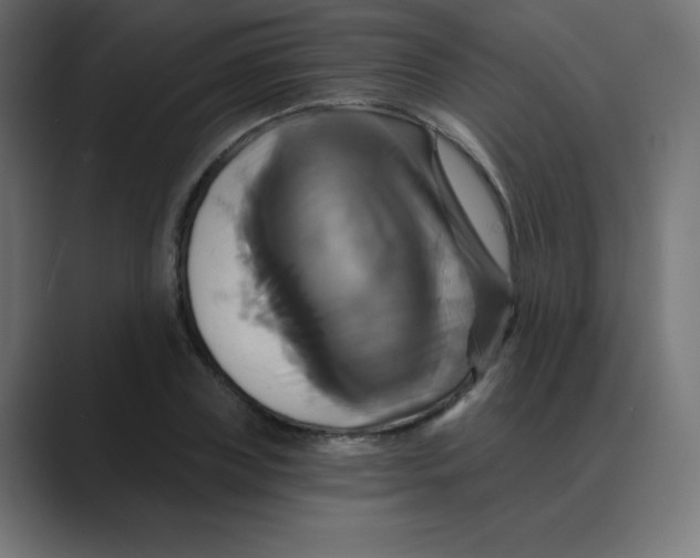 X0000088470835200706191346