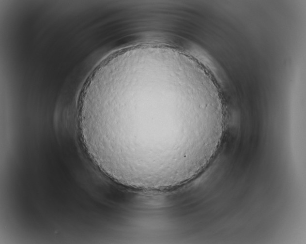 X0000088470836200706191346