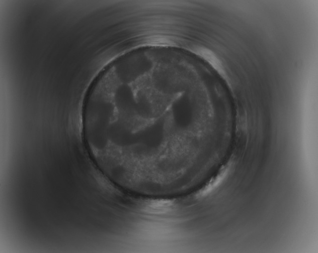 X0000088470837200706191346