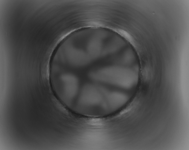 X0000088470839200706191346